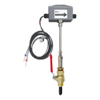 Series IEFB Insertion Thermal Energy Meter